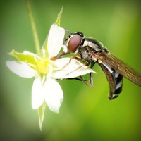 /album/josejose/photolia-a02-jpg/