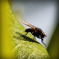 /album/josejose/photolia-a04-jpg/