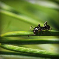 /album/josejose/photolia-a05-jpg/