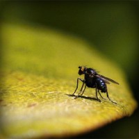 /album/josejose/photolia-a07-jpg/