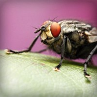 /album/josejose/photolia-a08-jpg/